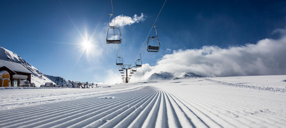 Nieve en buena compañía