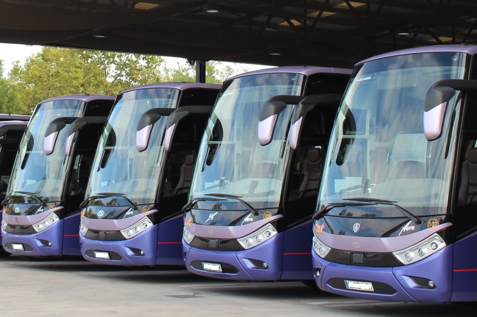 Vehicles / Flota 2 Vehicles / Flota 1