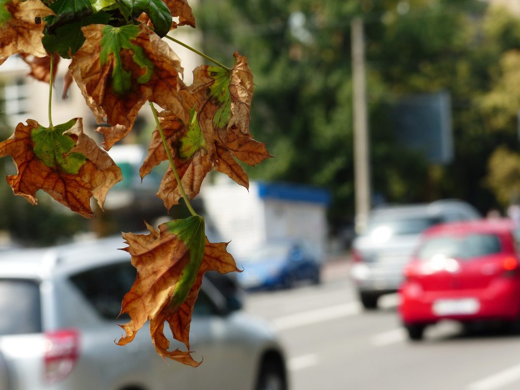 polucion en ciudades 1