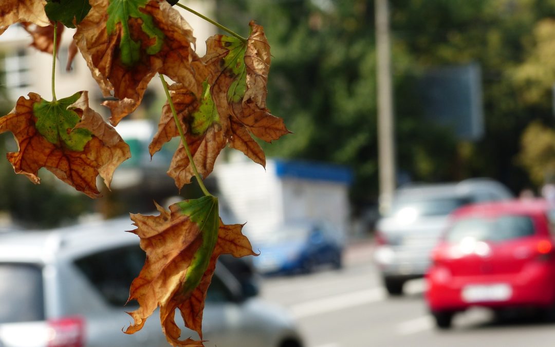 Hacia una movilidad eficiente y sostenible